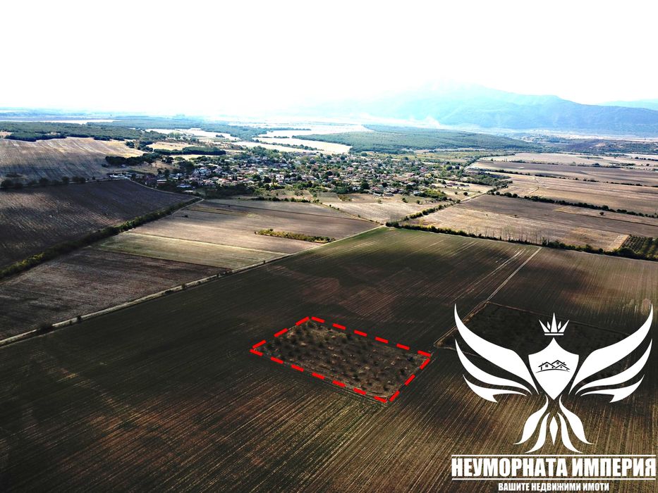 Продавам орехово градина 6650кв.м. в село Козаново