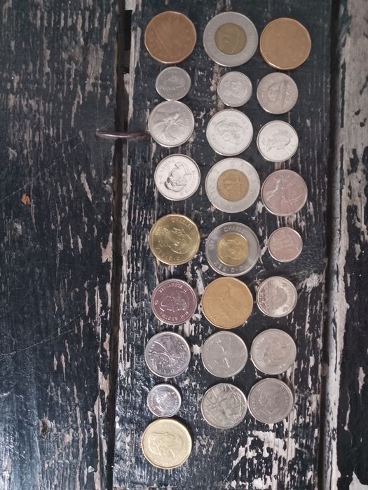 Канадски долар монети 24 на брой за всички заедно