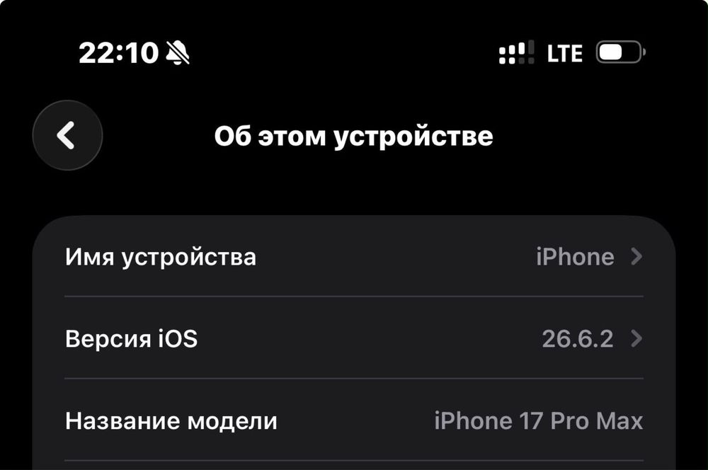 17 PRO MAX 256 гб