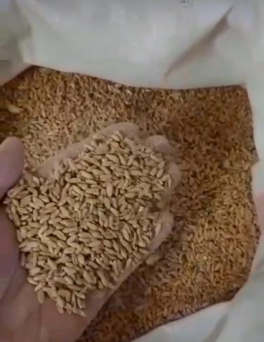 Кебек 2000тг мешок