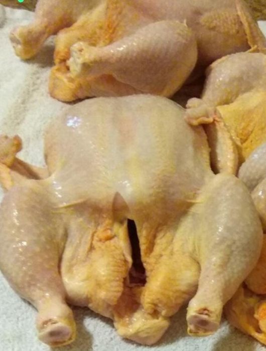 Мясо бройлера продам