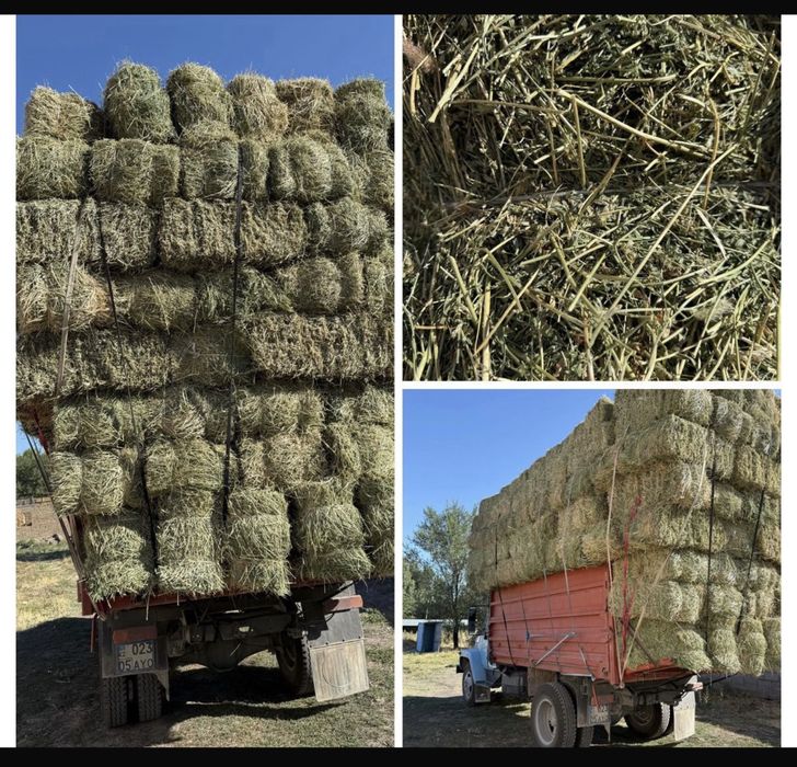 Сено разнотравия Люцерно