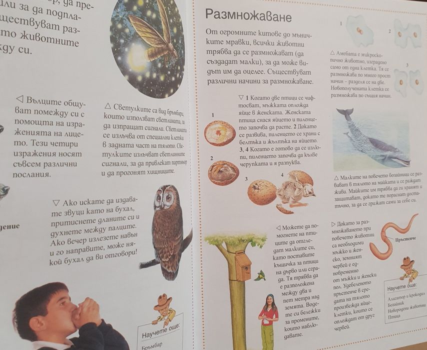 Енциклопедии с твърда корица