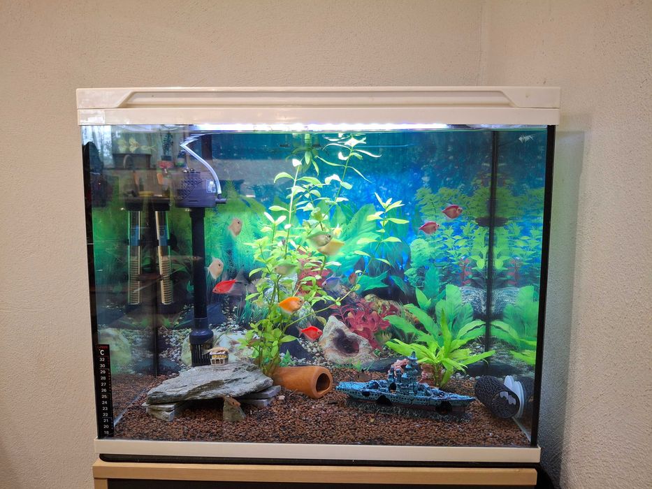 Три аквариума комплект с рибки