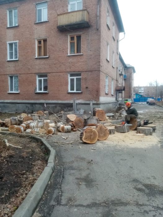 Спил аварийных деревьев