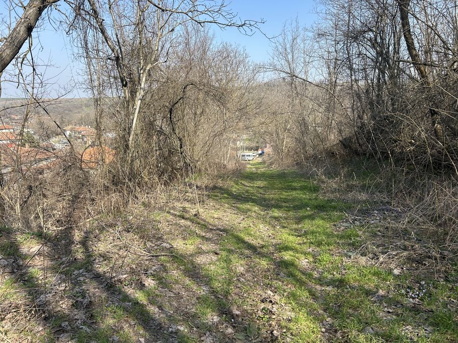 Продава се Парцел в с. Калипетрово, Област Силистра - 4680 кв.м за 1 €/кв.м - Снимка #5