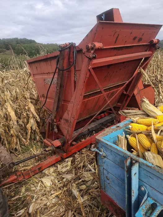 Porumb de vânzare,  700 lei buncărul de 700kg