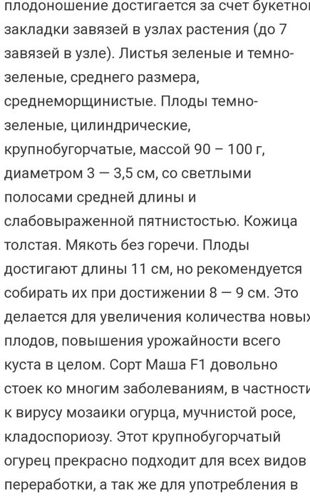 Продам семена огурцов.