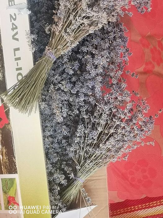 Lavandă bio buchete și săculeți