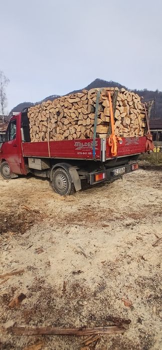 Lemne de foc esență tare Fag