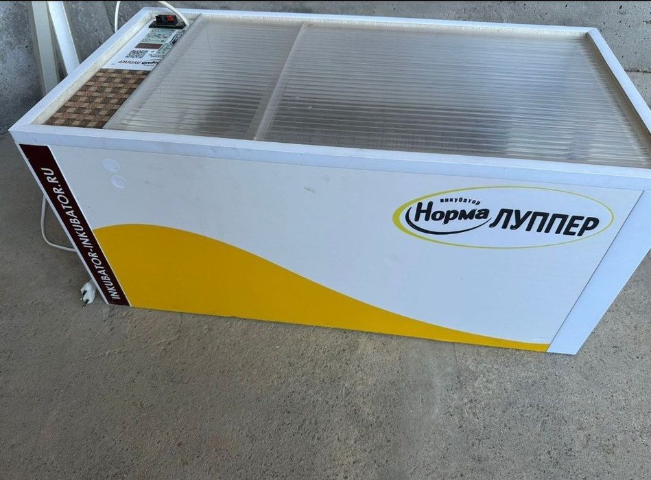 Инкубатор норма луппер с10