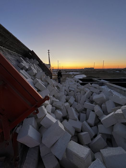 Ак тас Ақ тас Ракушка