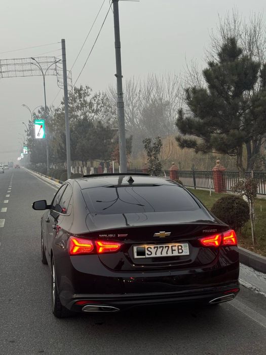 Malibu 2 premer 2022 kraska top tozza