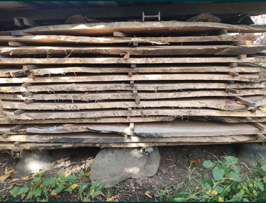 Vand cherestea de dud uscata