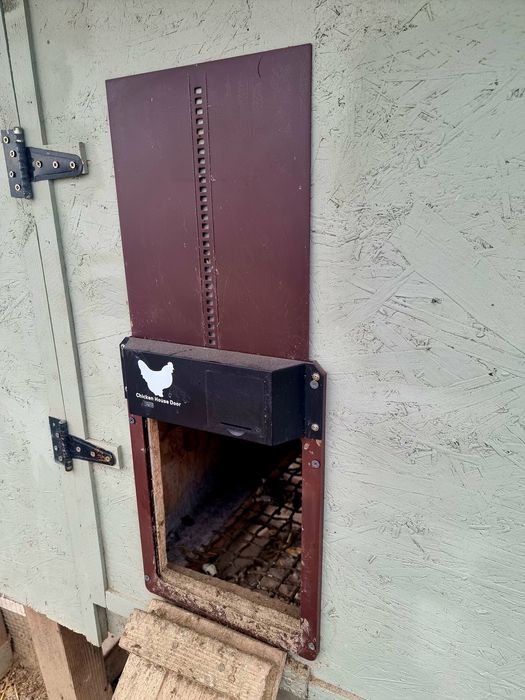 Vand usa automata pentru cotet/tarc de gaini