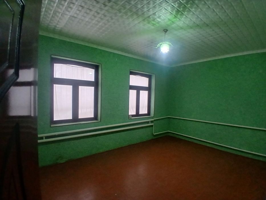 Kotej xovli!! Zamonaviy uslubda