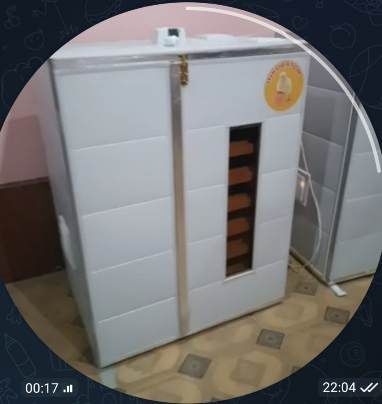 Inkubator 1000 talik 2 ta sotiladi.