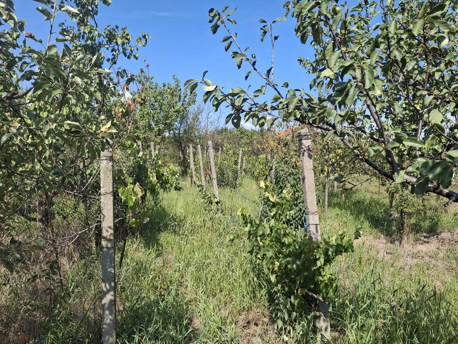 Casă de vânzare în Pâncota, jud. Arad