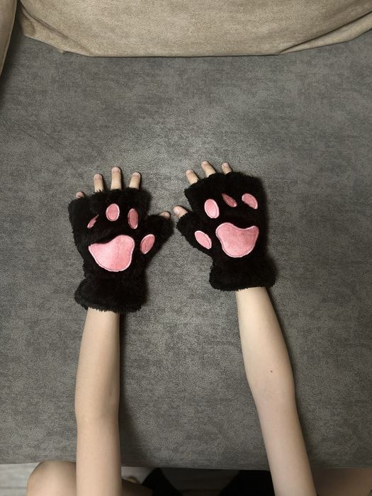 Лапки        кошки