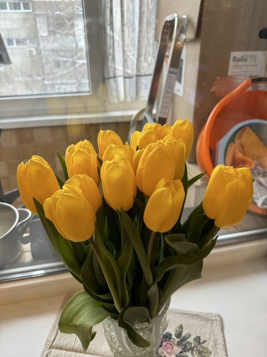 Голландские тюльпаны