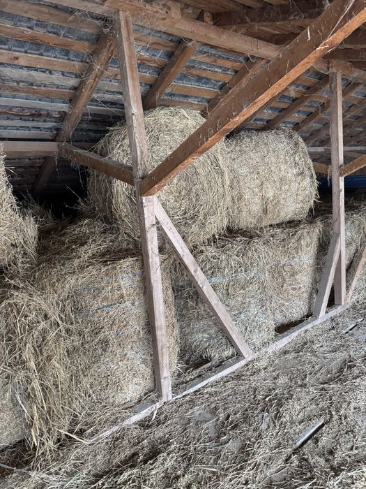 Baloti lucerna 3/4 /5coasa