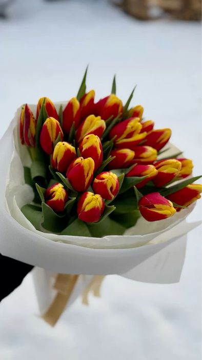 Белорусские тюльпаны Астана