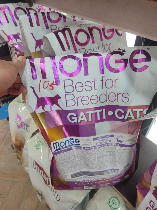 Mushuk korm dastavka bor