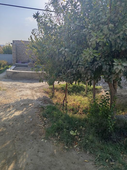 Участка сотилади адрес Бахоуддин Накшбанди зебинисо