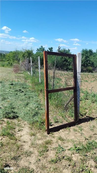 RECO Teren intravilan Paleu