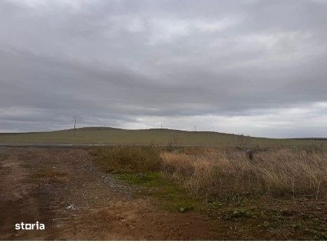 Teren extravilan cota parte 3/24, Nalbant ; ID: R2827364