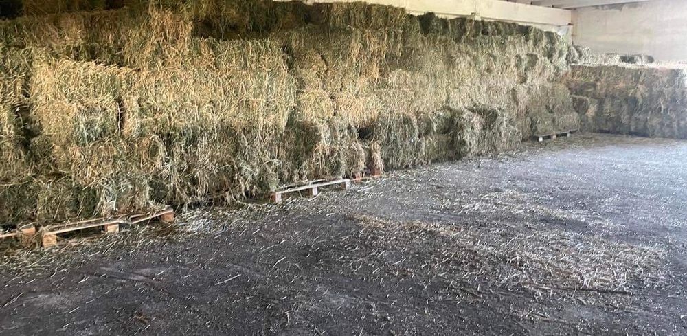 Продавам бали от люцерна и сено
