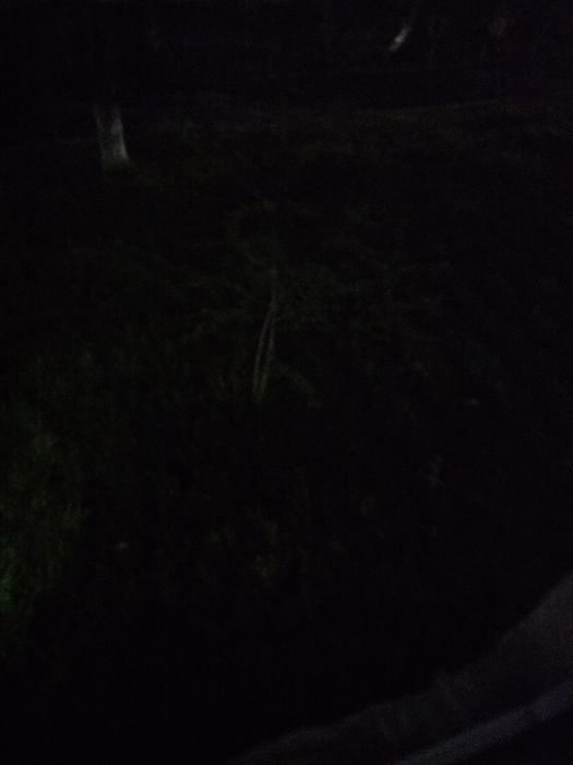 Бинокль ночного видения