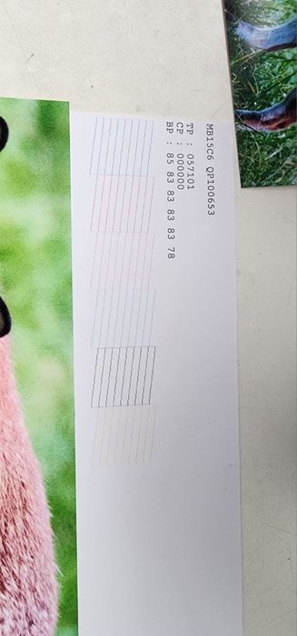 Принтер Epson L800