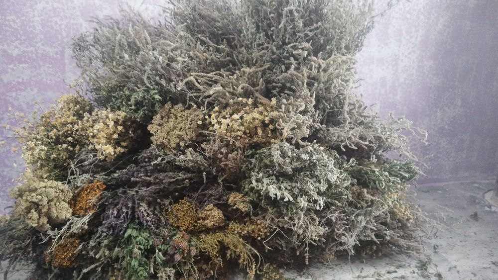 Веники и лечебные травы