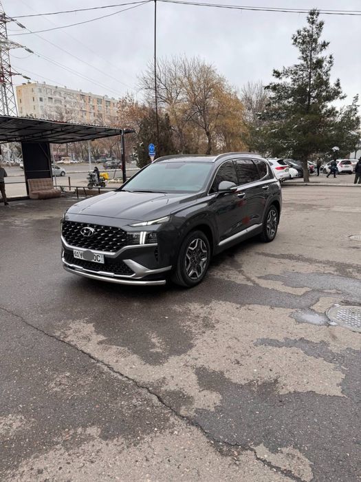 Hyundai Santa Fe Full. Tozza