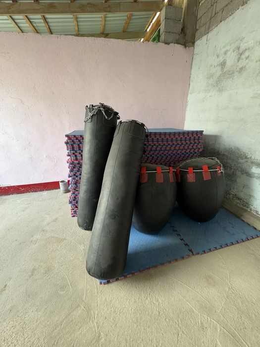 Даянка мен груша