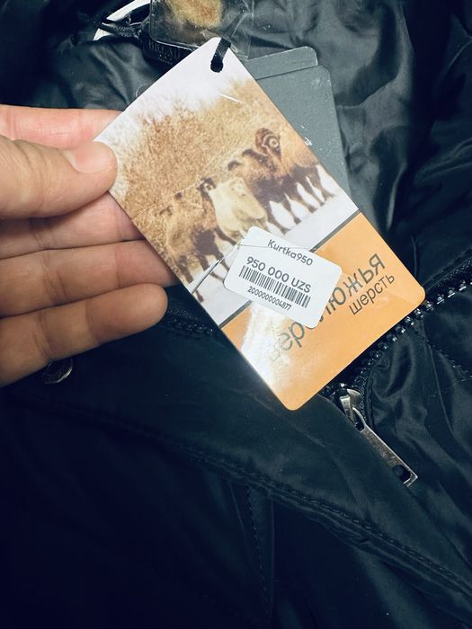 Туя юнгидан куртка колгани берул берилади.