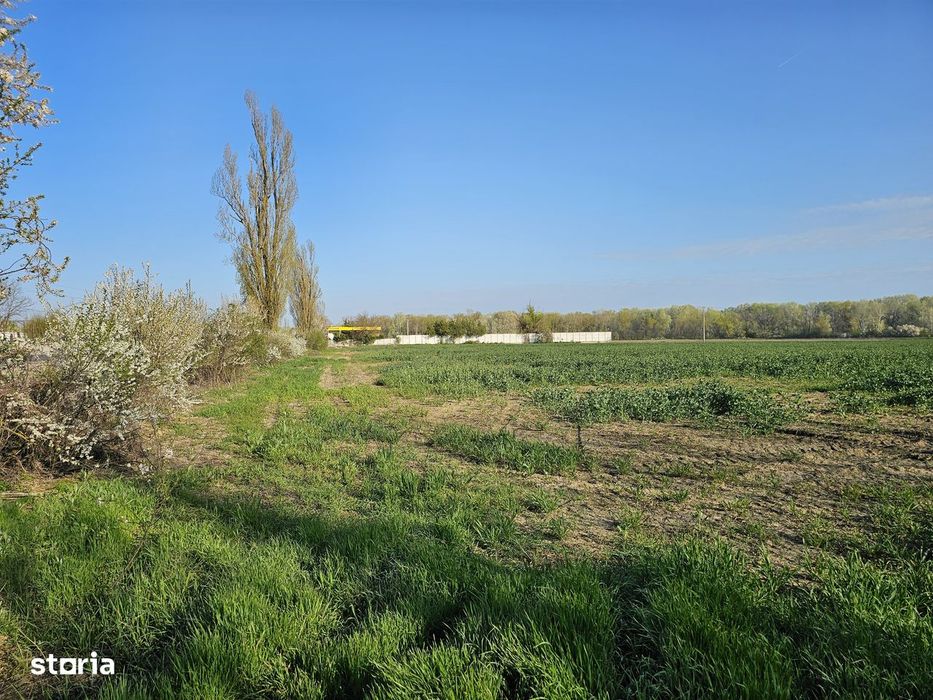 10.100Mp Teren Construcții Intravilan Potigrafu, Deschidere 31M La Dn1