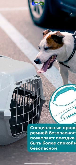 Переноска для кошки или мелкой собаки