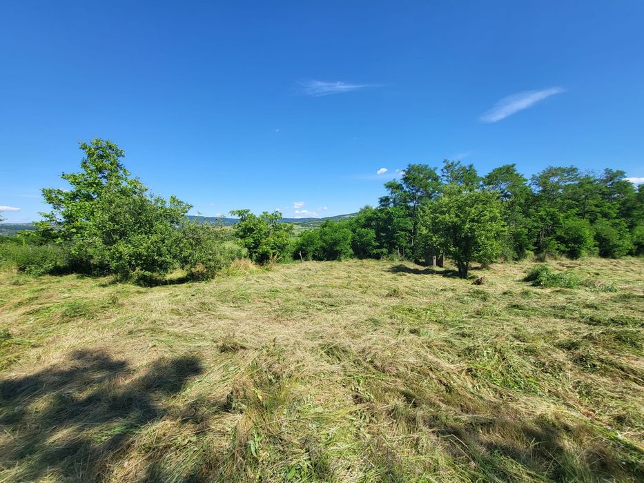 Direct proprietar Vand teren ciurea