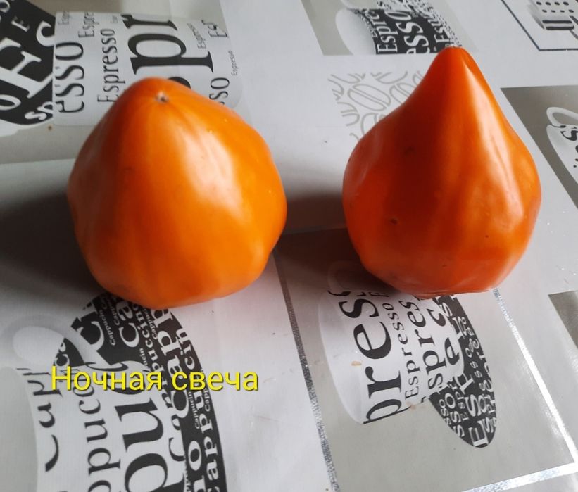 Семена коллекционных сортов томатов