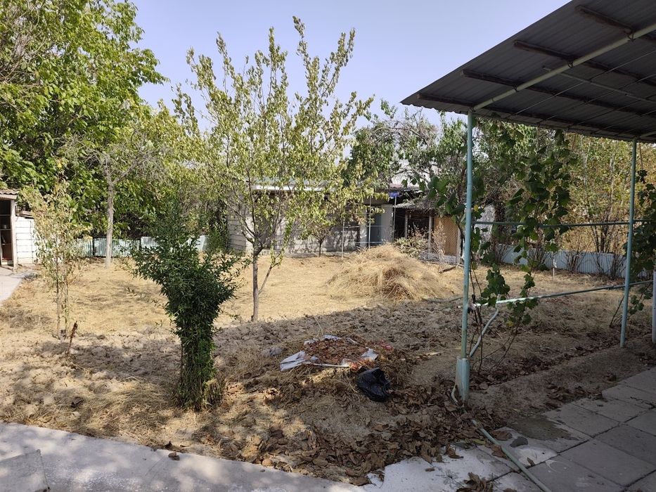 Дача! Таш.обл Горы  (Красногорск)