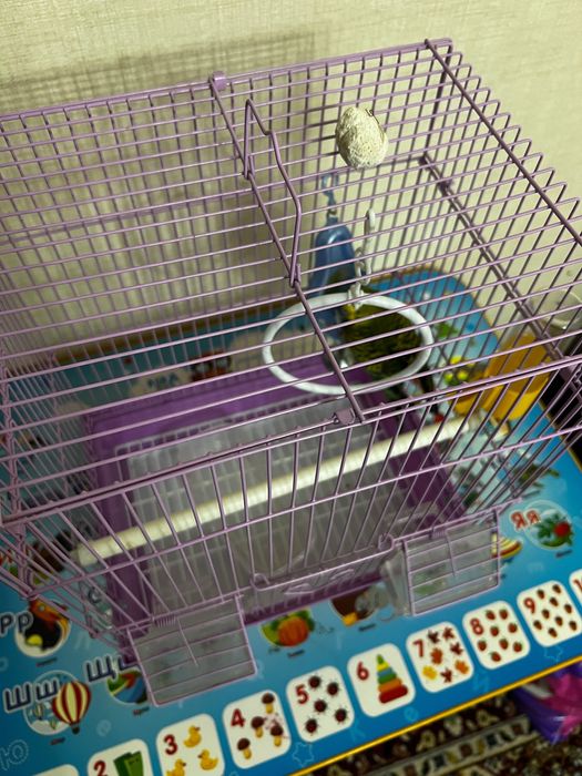 Клетка для попугая