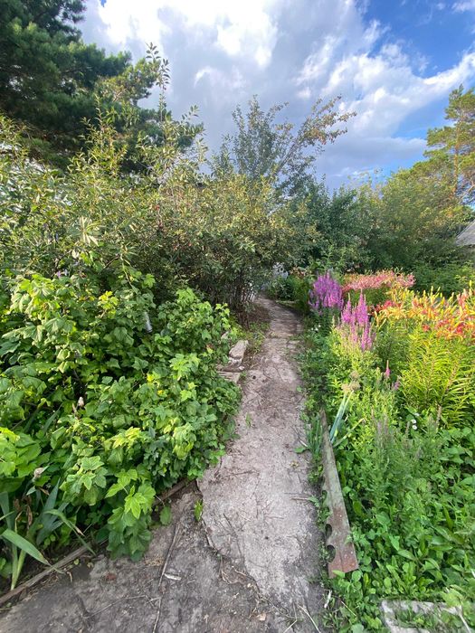 Просторная дача, район Федоровки