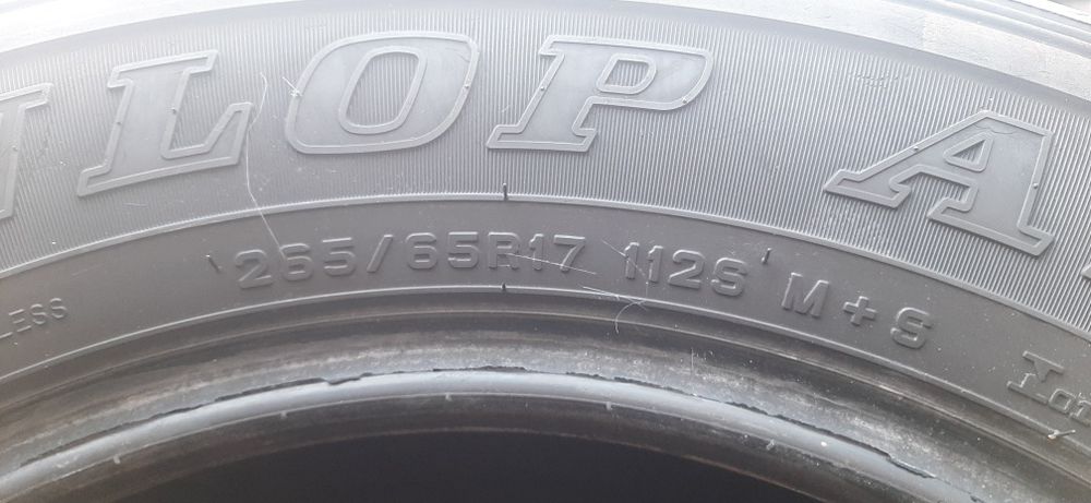 Продам шины DUNLOP