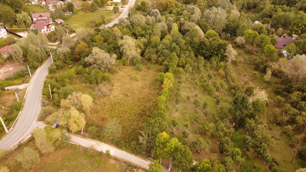 Teren intravilan faneata