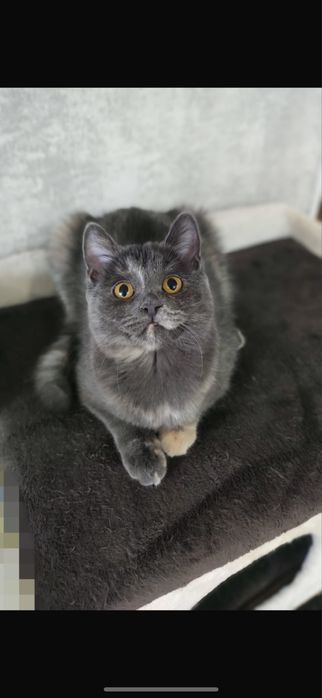 Очаровательная лапотулька Стеша!