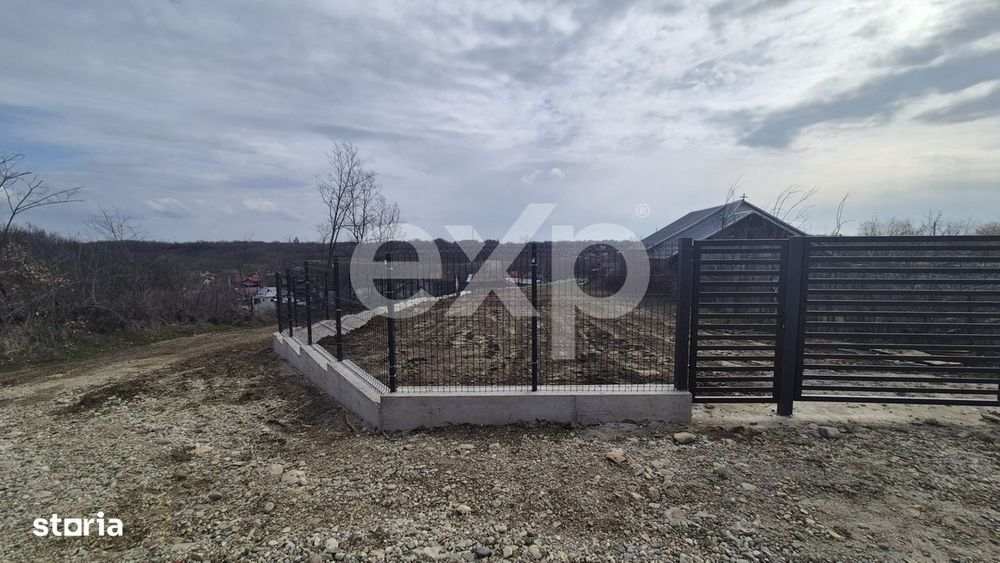 Teren 1.500 mp langa padure, Albota – liniste, natura si potential d
