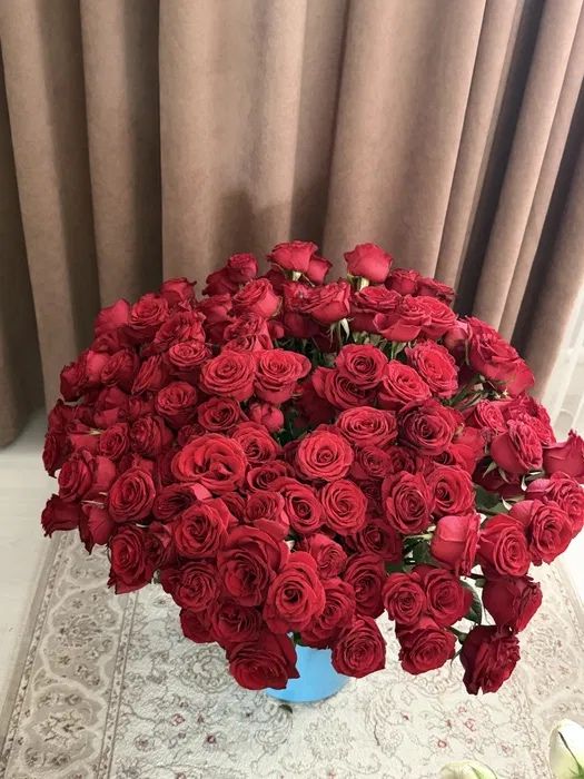 Цветы,51и31 розааа