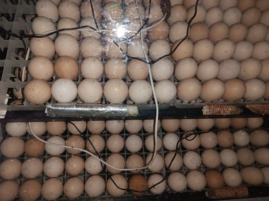 Продам инкубатор